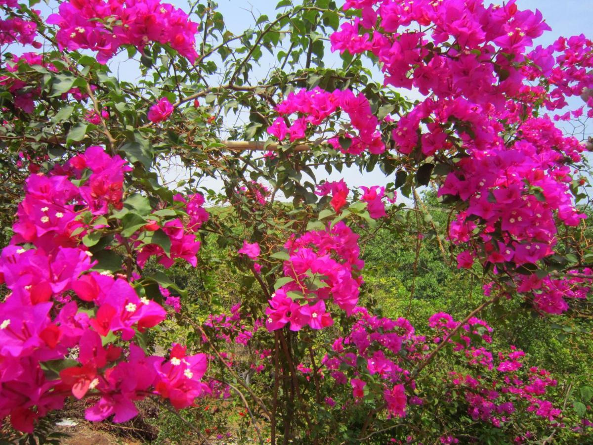 Namaste Yoga Farm Villa Gokarna  Exterior foto