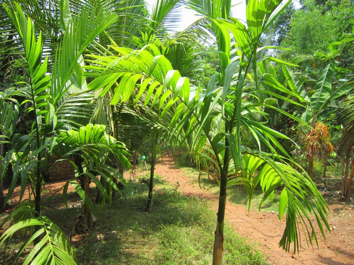 Namaste Yoga Farm Villa Gokarna  Exterior foto