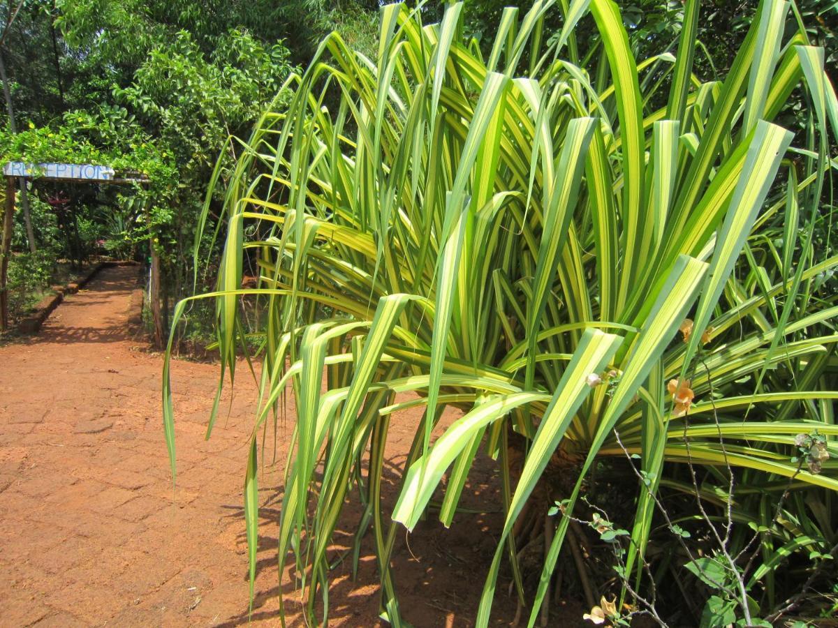 Namaste Yoga Farm Villa Gokarna  Exterior foto