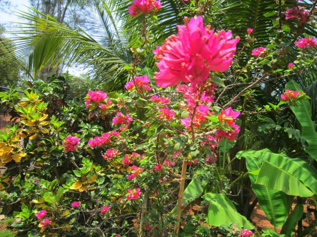 Namaste Yoga Farm Villa Gokarna  Exterior foto