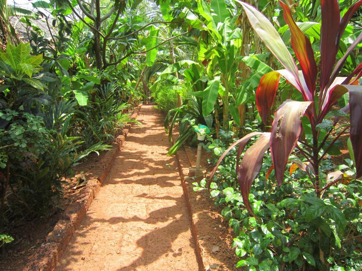 Namaste Yoga Farm Villa Gokarna  Exterior foto