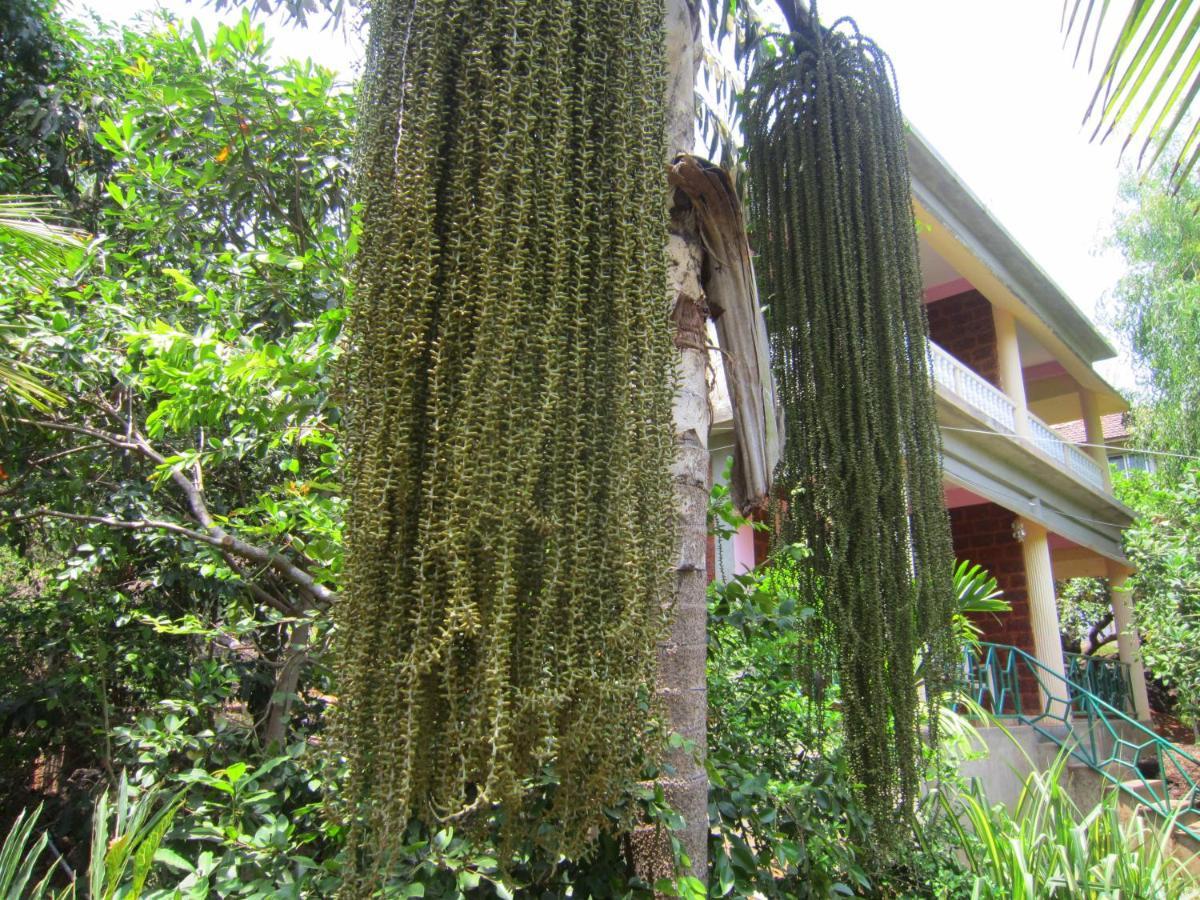 Namaste Yoga Farm Villa Gokarna  Exterior foto