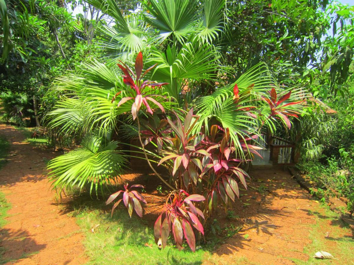 Namaste Yoga Farm Villa Gokarna  Exterior foto